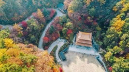 충북도SNS서포터즈 - 단양구인사와 보발재 단풍