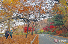 청주 우암산 둘레길 조성사업 본격 추진