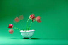 우석대 평생교육원, 사진반 졸업전시회