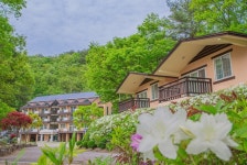 단양 소백산·소선암자연휴양림, 힐링 쉼터로 큰 인기