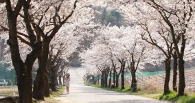 제천역, 충북·강원권 철도관광 활성화 선봉장