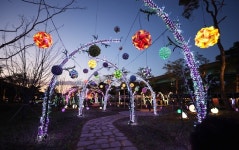 괴강불빛공원 개장…야간 관광 활성화 기대