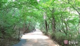 힐링 숲속 세조길 걸어볼까요·