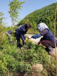 충주시 앙성면 주민자치위, 무궁화와 꽃잔디 식재