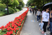 청주시티투어 떠나보니…가성비甲·강력 추천