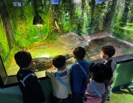 제천 용두초등학교병설유치원, 다누리아쿠아리움 현장 체험
