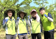 농협 충주시지부, 농촌일손돕기 벌여