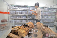 충북 곤충산업 꾸준한 성장세…특화 사업 역할 톡톡