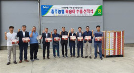 충주농협, 노은 복숭아 홍콩 수출