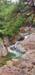충북일보클린마운틴 - 경남 산청 대원사 계곡길