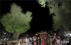 청주지역 문화재 올여름 마지막 밤 밝혔다