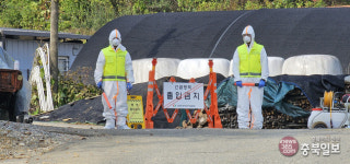 음성군 원남면 한우농장, 럼피스킨병 의심축 발생
