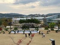 청주시, 1회 오감만족 국화전시회 이번주 개최