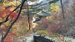 렌즈세상 - 현등사 운악단풍