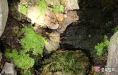 전의초수 역사공원 조성 6년째 제자리