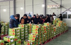 황간농협 상촌지점 곶감 경매시장 개장