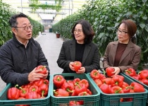 조은희 충북농업기술원장, 진천군 스마트팜 현장 방문