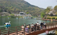 <총선 이모저모>나도 투표하고 싶어요