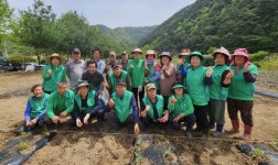 가곡면, 새마을협의회 버베나 꽃밭 조성