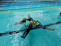 충주 금릉초 병설유치원, 5세 유아 대상 생존수영 교육 실시