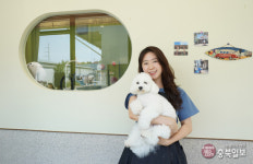 #샵스타그램 - 청주 비하동 반려견미용실 메모르드몽