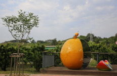 충북도 공식블로그 - 과일나라 테마공원