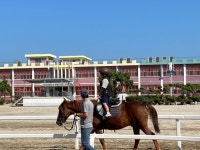 충주 단월초, 승마체험 프로그램 운영