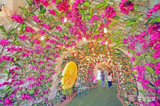 2024 청원생명축제 친환경 축제로 진행