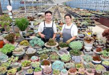 다육식물 명인 도전 이광희 다육&풍경 대표