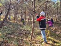 단양국유림관리소, 숲 가꾸기 1일 체험행사 개최