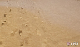 <날씨>30일 충북 북부 새벽부터 약한 눈 또는 비