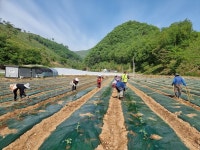 단양군, 농업창업 및 주택구매 최대 3억 지원