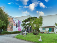 쉐마미술관·충북대학교 박물관 두루봉에서 툭툭 : 미래를 그리다