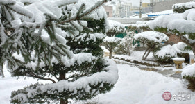 봄 시기한 폭설에 충북 교통사고 잇따라