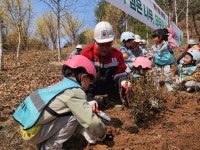 단양국유림관리소, 봄철 나무 심기 및 내 나무 갖기 행사