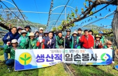 학산면 새마을협, 포도 농가 찾아 생산적 일손 봉사