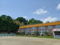 충주 오석초등학교, 100년에 한 번 핀다는 대나무꽃 만개