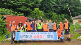 농협 단양군지부·한전 단양지사, 매포 마늘농가 일손돕기 나서