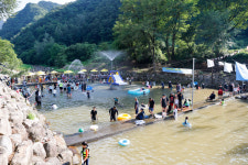 단양 남천계곡 물놀이 축제, 성황리 마무리