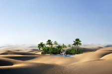 아침을 여는 詩 - 집에 대한 예의