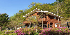 음성군 백야자연휴양림 새롭게 단장