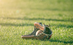 청주야구장 신축…종합운동장·실내체육관도 새로 짓는다