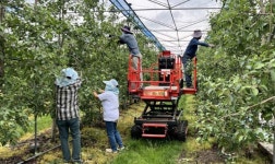 증평군 긴급인력사업 올해 첫 도입