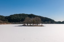 제천시 공식블로그 - 제천 의림지