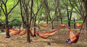 증평 좌구산자연휴양림 우수 웰니스 관광지로 우뚝