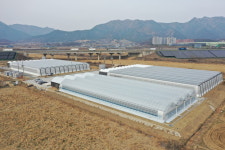 77억 투입 스마트농장, 6월 문 연다…보은, 4월 임대농 모집