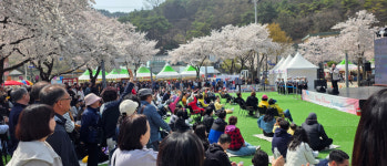 제30회 제천 청풍호 벚꽃축제, 성황리에 마무리