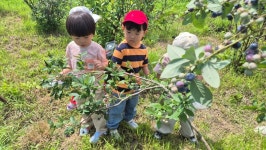 충주 국원유치원, 자연 속 생태체험 인기