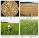 국립종자원 충북지원, 2026년도 보리 종자 신청 접수