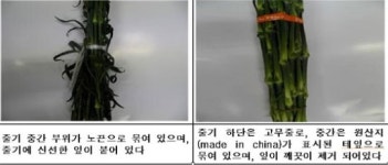 충남 농관원.화훼류 원산지 둔갑 집중 단속